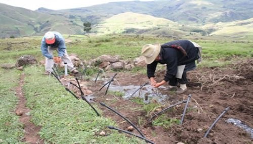 En los primeros siete meses del año el agro creció 1,9%