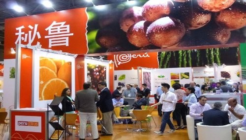 Más de US$ 67 millones concretarían exportadores nacionales que participaron en Feria ASIA FRUIT LOGISTICA