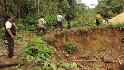 Condenan a tres años de pena privativa de libertad efectiva por deforestar la Reserva Nacional Tambopata