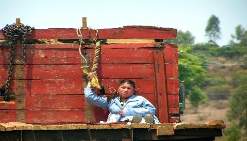 Migración, ¿solución o problema?