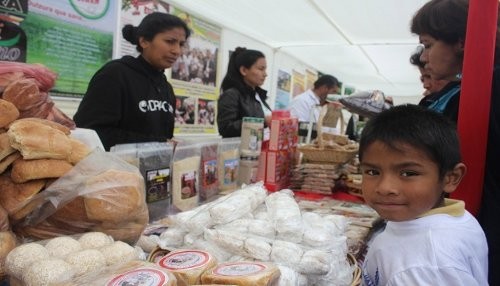 Feria de Alimentación Saludable buscó promover actividades de prevención