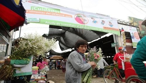 Minsa realizará campaña en cementerios de Lima para prevenir el dengue