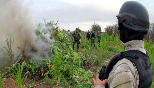 ¿Camino a ser la México del narcotráfico?