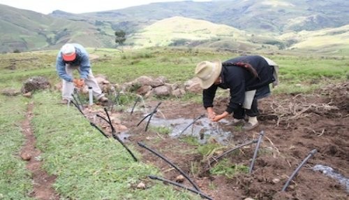 Producción agropecuaria creció 1,7% en primeros nueve meses del año