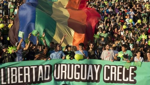 Uruguay es el primer país en legalizar el comercio de marihuana
