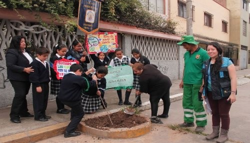 Escolares siembran cerca de 200 árboles en principales avenidas de Barranco