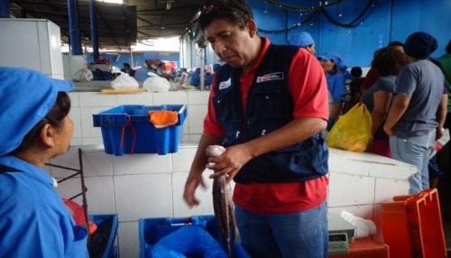Inspectores de Produce decomisaron 100 kilos de Pulpo bebé y 149 kilos de recurso pesquero Machete