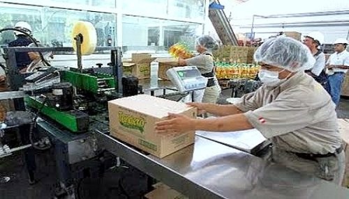 Actividad manufacturera se redujo 1,1 por ciento Actividad manufacturera se redujo 1,1 por ciento