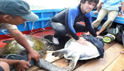 Guardaparques se capacitan en técnicas de monitoreo de tortugas marinas