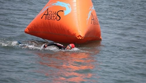 Nadadores de aguas abiertas buscan clasificar a los X Juegos Sudamericanos Santiago 2014
