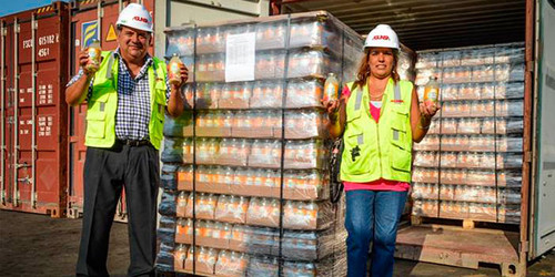 Primer lote de exportación de refrescos de quinua con manzana rumbo a EE.UU.