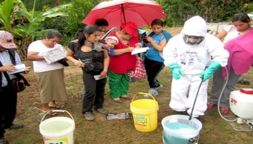 SENASA y productores cafetaleros de selva central controlan broca del café