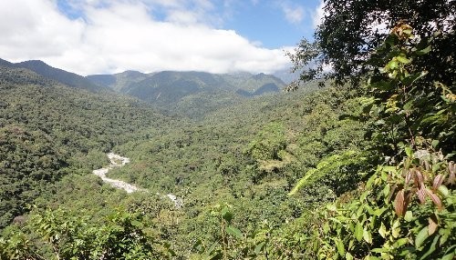 SERNANP promociona el Bosque de Protección Pui Pui y la ruta turística selvandina