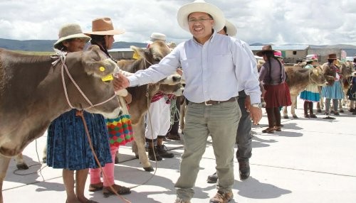 Comuneros de Huayhuahuasi, Espinar, potencian actividad ganadera