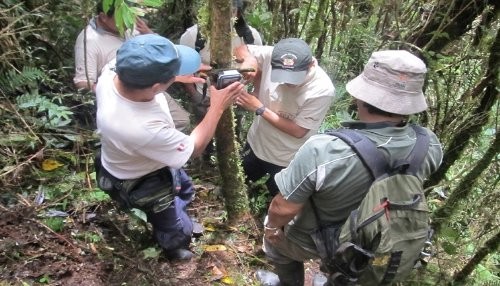 SERNANP instala cámaras trampa para monitoreo biológico en el Parque Nacional Yanachaga Chemillen