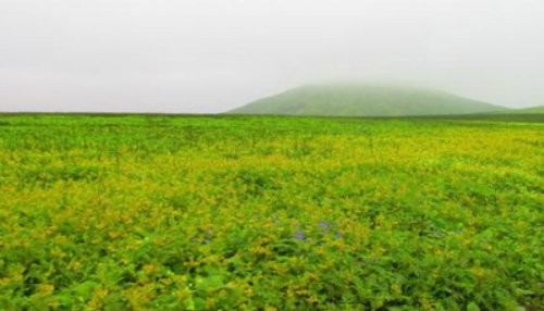 El Perú cuenta con 11 ecosistemas frágiles