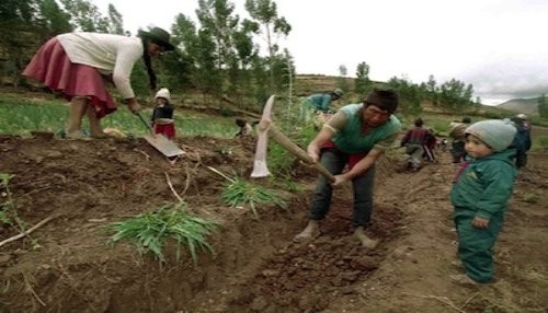 Producción agropecuaria creció 0,8% en el primer trimestre de este año