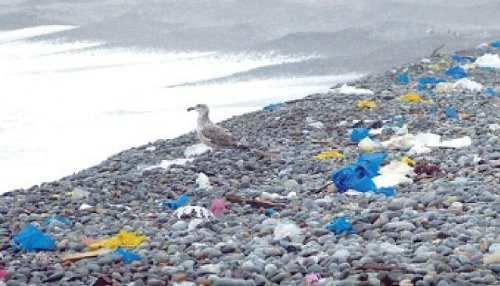 Anuncian medidas para luchar contra la contaminación en la Costa Verde