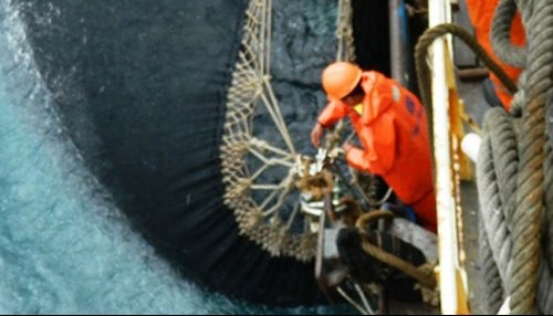 Produce inicia proceso sancionador a dos pesqueras por arrojar al mar anchoveta juvenil