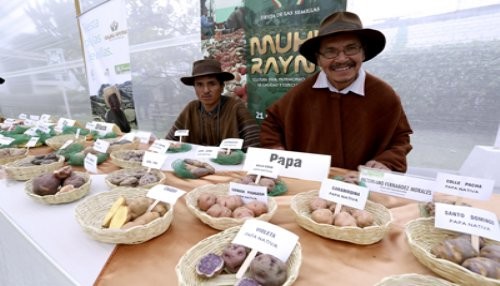 Fiesta de la Semilla - Muhu Raymi 2014 será en Huánuco