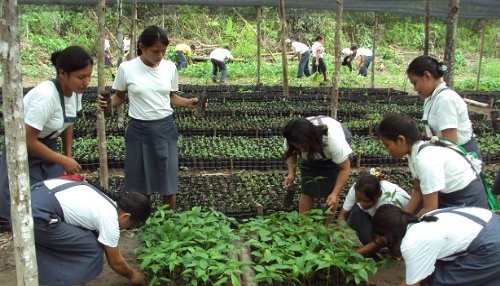 130 Instituciones Educativas del VRAEM fomentarán la educación ambiental en los alumnos