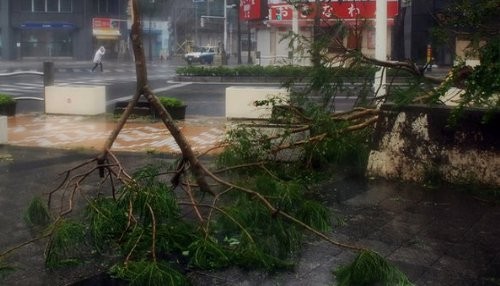 Japón en alerta máxima por tifón Neoguri