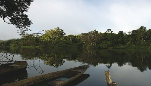 Perú conservó más de dos millones de hectáreas de bosques con bonos de carbono en áreas naturales protegidas