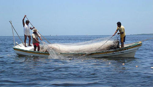 Más de 4 mil pescadores artesanales fueron capacitados por el Ministerio de Trabajo en 10 regiones