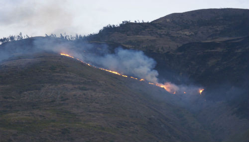 Incendio forestal ocasionó daños en el departamento de Huancavelica
