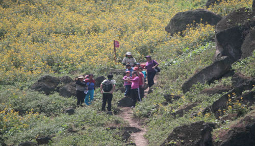 Municipalidad de Lima lanzó circuito ecoturístico Lomas de Primavera en el distrito de Carabayllo