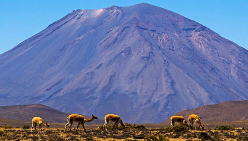 Áreas Naturales Protegidas de Arequipa estarán presentes en Foro Mundial de Recursos Naturales