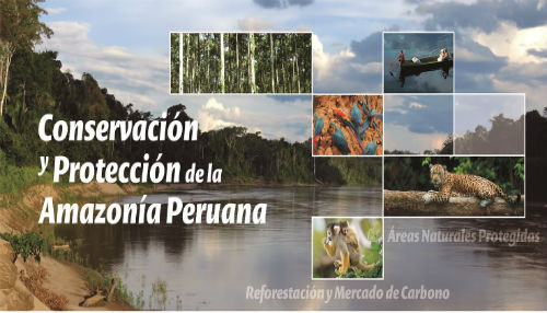Aliados por la conversación se reúnen para promover Protección de la Amazonia Peruana Aliados por la conversación se reúnen para promover Protección de la Amazonia Peruana