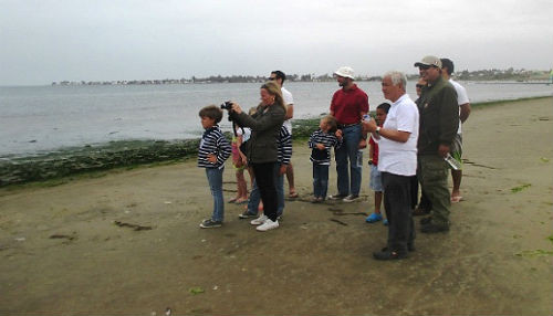 Reserva Nacional de Paracas alista nuevas actividades turísticas para próxima temporada de verano