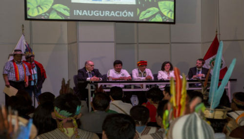 [COP20] Gabriel Quijandría: La acción que lleva la sociedad civil frente al cambio climático es fundamental