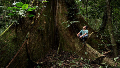 800 comunidades nativas de la Amazonía Peruana participan de mecanismo de preservación territorial del Banco Mundial