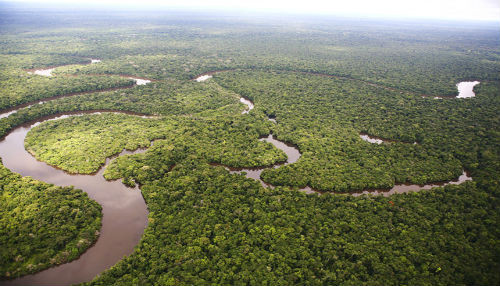 Madre de Dios es pionera en gobernanza ambiental con aplicación de innovadora iniciativa REDD+