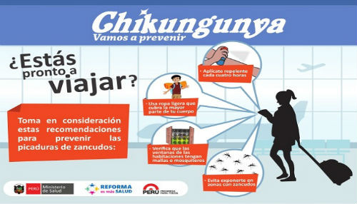 En el Perú no hay casos autóctonos de chikungunya