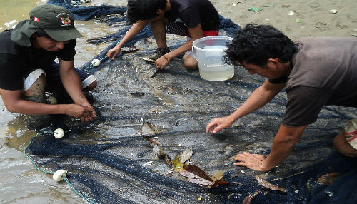 SERNANP realiza monitoreo de calidad de agua y recursos hidrobiológicos en la Reserva Comunal Amarakaeri