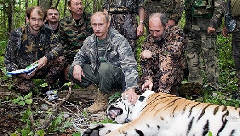Vladimir Putin es acusado de haber asesinado a un tigre siberanio