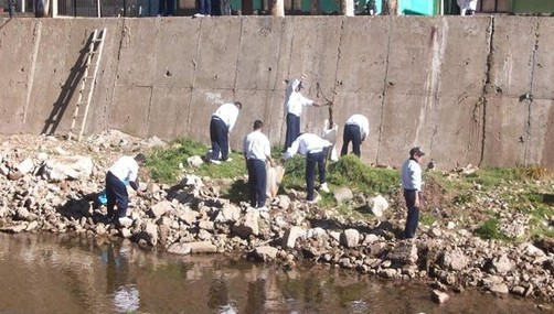 Hallan cientos de colas de perro arrojadas en el río Ichu