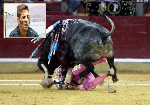 Torero español que recibió brutal cornada en el rostro seguirá toreando