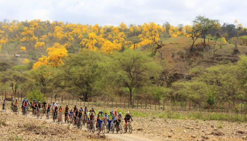 250 ciclistas de Perú y Ecuador recorrerán ruta binacional a través del Parque Nacional Cerros de Amotape