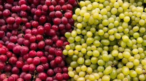 Producción de uva se incrementó en 63,9%