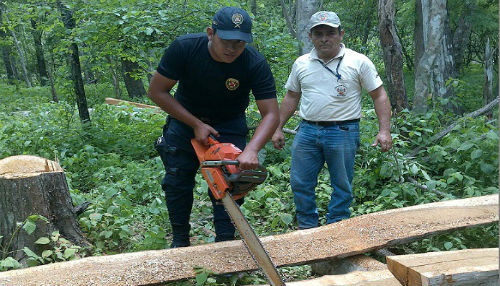 En operativo conjunto guardaparques del SERNANP y efectivos PNP detienen acciones de tala ilegal