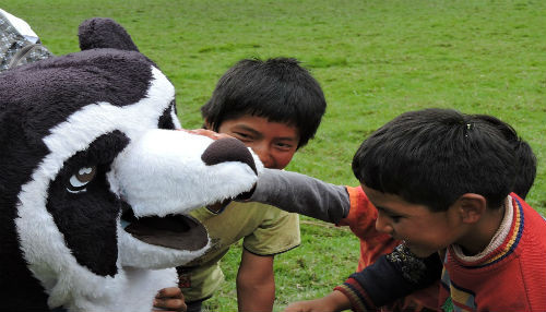 Comunidades altoandinas se unen en la Fiesta del Oso Andino