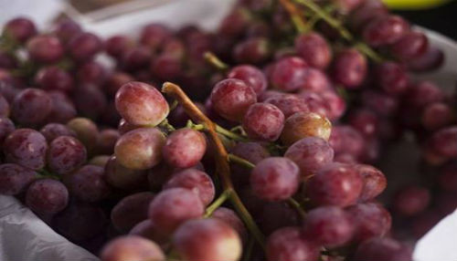 Más de 9 millones de cajas de uva peruana ingresaron a China en la última campaña