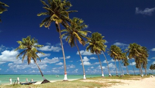 Destinos paradisiacos: Playas ocultas de Brasil