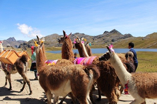 Comunidades de Áncash apuestan por desarrollo de agroturismo en el Parque Nacional Huascarán