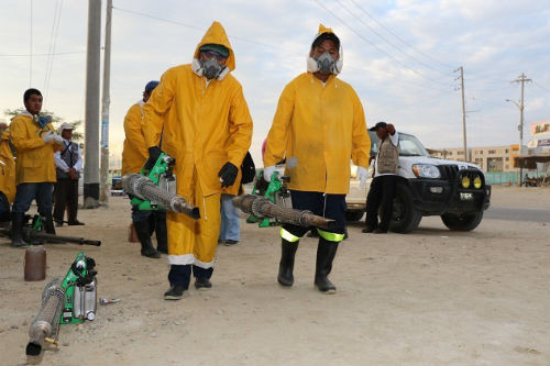 Tumbes: Más de 14 mil viviendas serán fumigadas y abatizadas