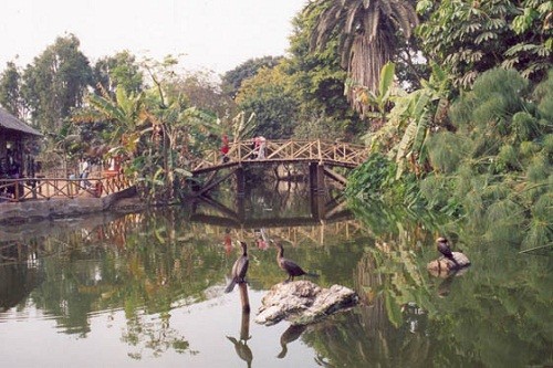 Los animales del Parque de Las Leyendas